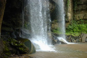 Masai Mara Safaris