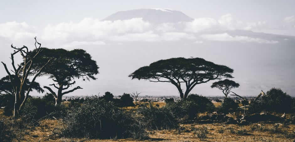 3 Days Amboseli Safari