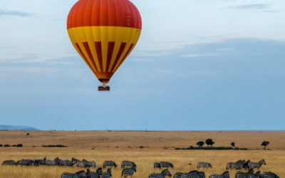 6 Days 5 Nights Lake Nakuru – Maasai Mara – Amboseli – Tsavo West – Kenya Safari Package