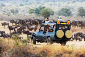 Masai Mara Air Safaris