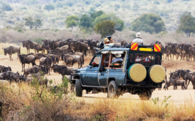 Mara Intrepids Camp