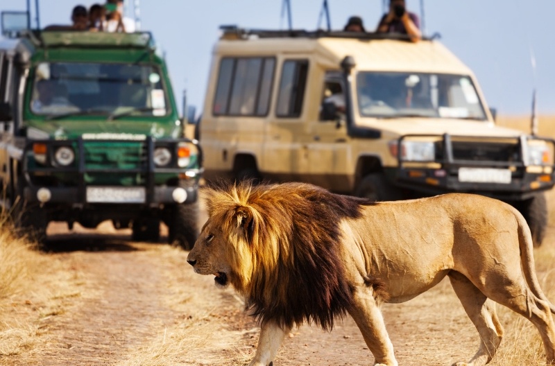 7 Day Kenya Luxury Safari