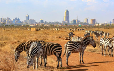 Nairobi National Park