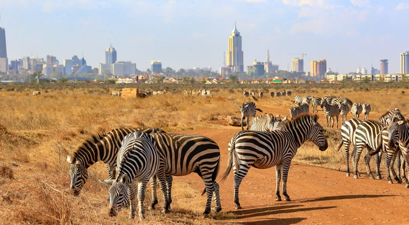 Nairobi Day Trips