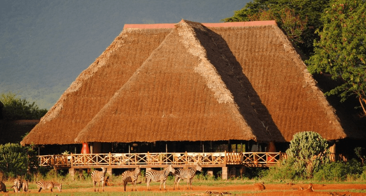 1 1/2 Day Ngutuni Game Sanctuary Safari 