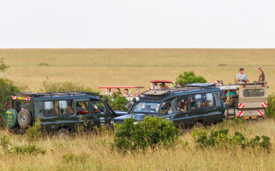 10 Days 9 Nights of Maasai Mara Safari & Zanzibar Beach