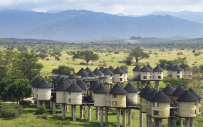 5 Days 4 Nights :Tsavo East – Taita Salt lick – Tsavo West – Amboseli-Kenya Safari Package