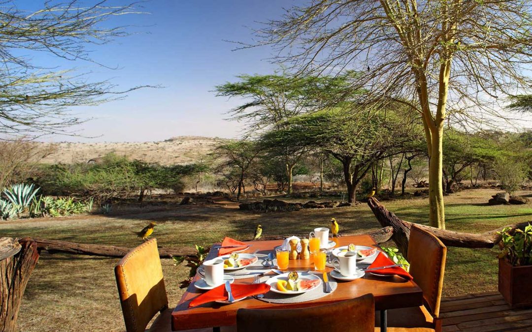 4 Days/3 Nights – Lewa Conservancy Safari